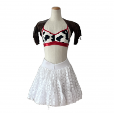 Character/Musical Theatre Dance Costumes