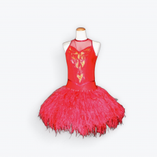  Ballet 