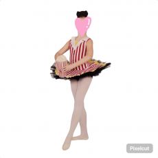 Character/Musical Theatre Dance Costumes