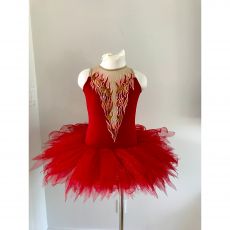 custom used dance costume